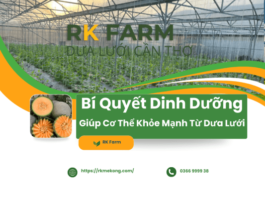 Bi-quyet-dinh-duong-dua-luoi-organic-va-loi-ich-cho-he-mien-dich