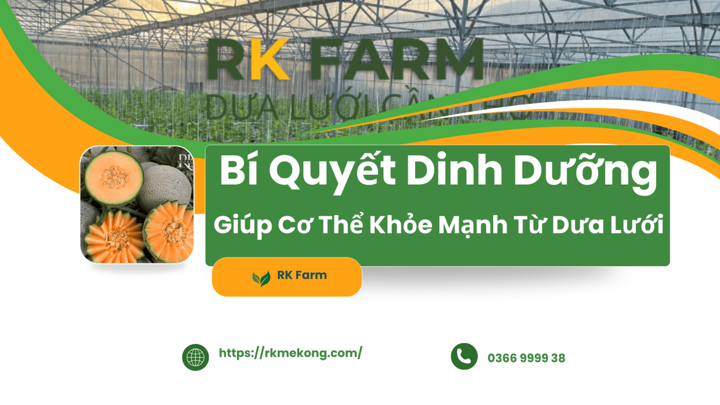 Bi-quyet-dinh-duong-dua-luoi-organic-va-loi-ich-cho-he-mien-dich