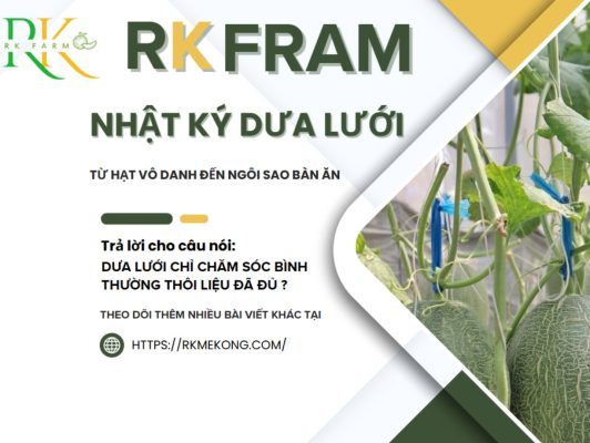 nhat-ky-dua-luoi-tu-hat-vo-danh-den-ngoi-sao-ban-an