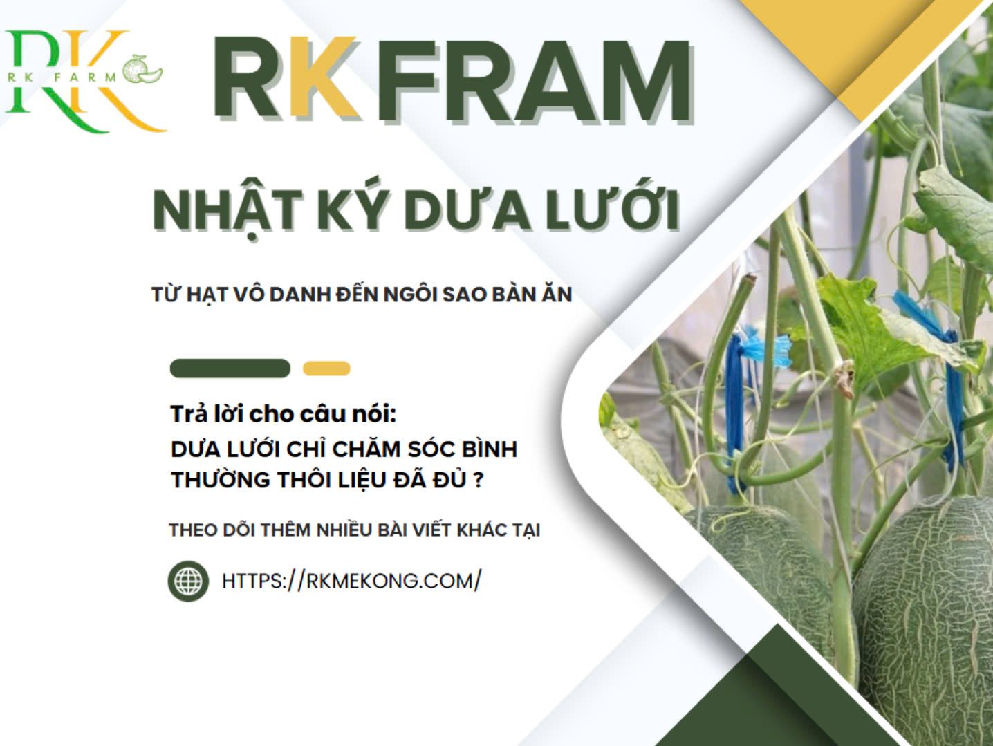nhat-ky-dua-luoi-tu-hat-vo-danh-den-ngoi-sao-ban-an