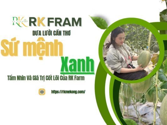 su-menh-xanh-tam-nhin-va-gia-tri-cot-loi-cua-rkfarm