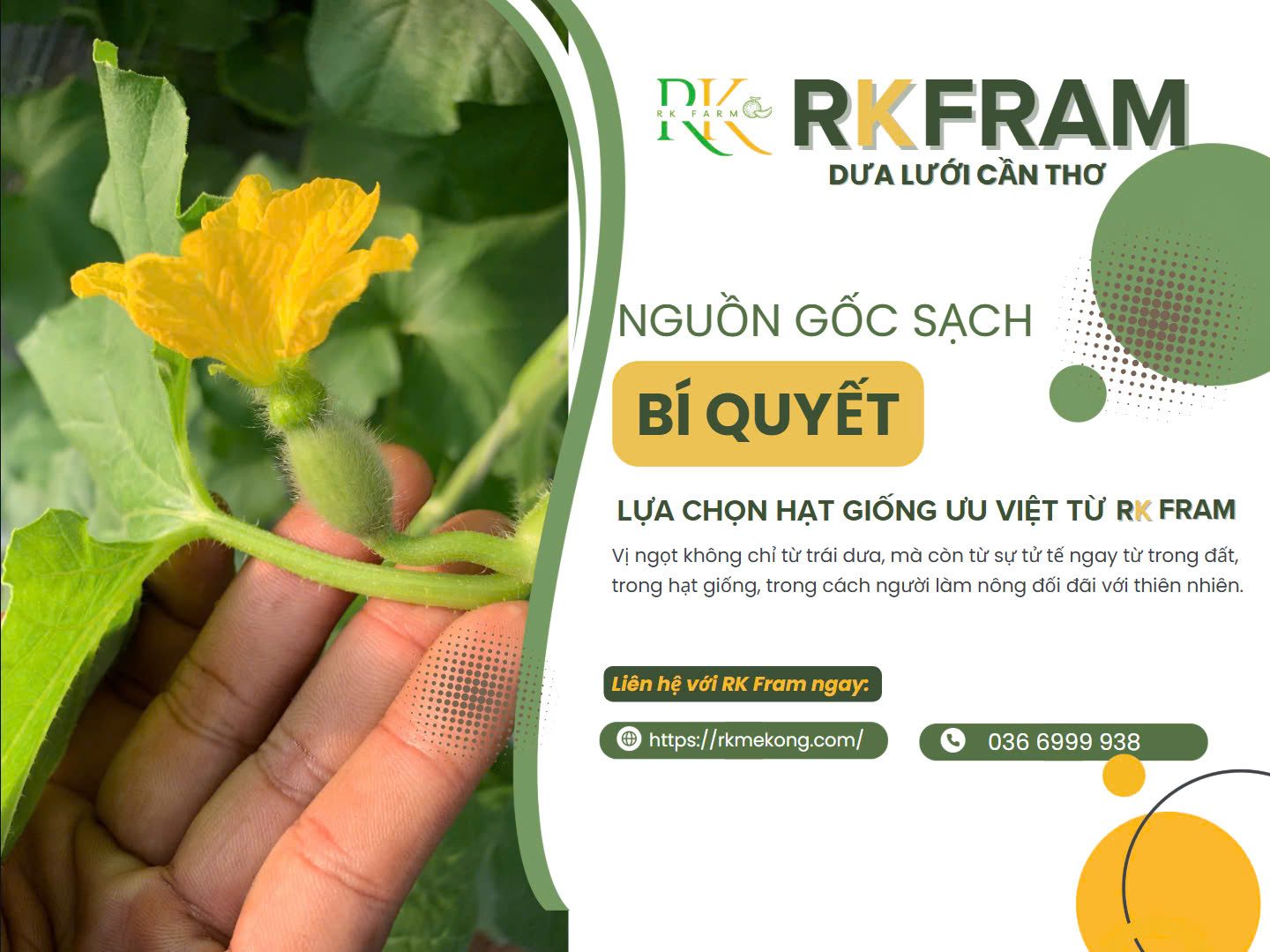 Nguon-goc-sach-bi-quyet-lua-chon-hat-giong-uu-viet