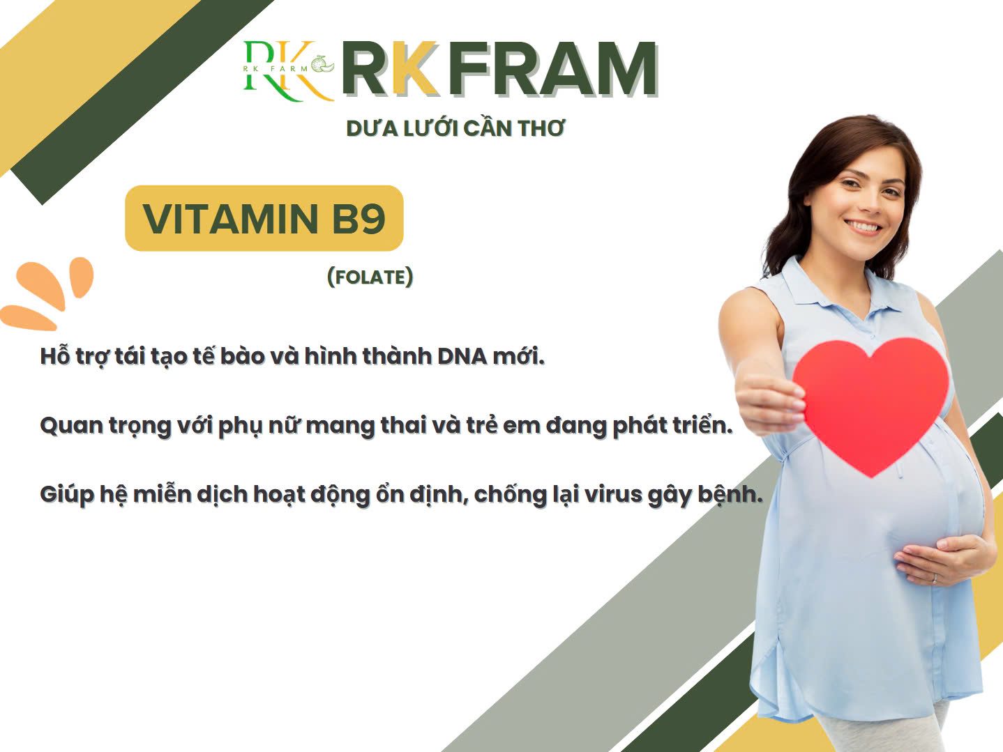 Bi-quyet-dinh-duong-dua-luoi-organic-va-loi-ich-cho-he-mien-dich