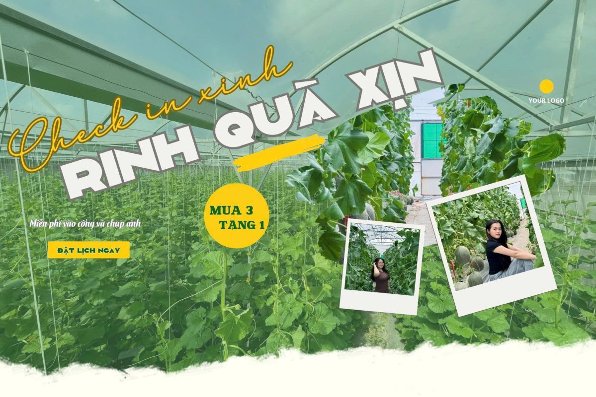 check-in-vuon-dua-luoi-rk-farm