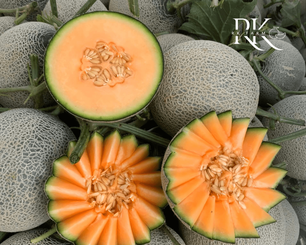 Dưa lưới Thái