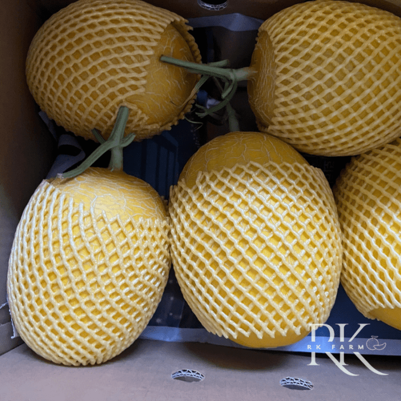 Dưa lưới Thái