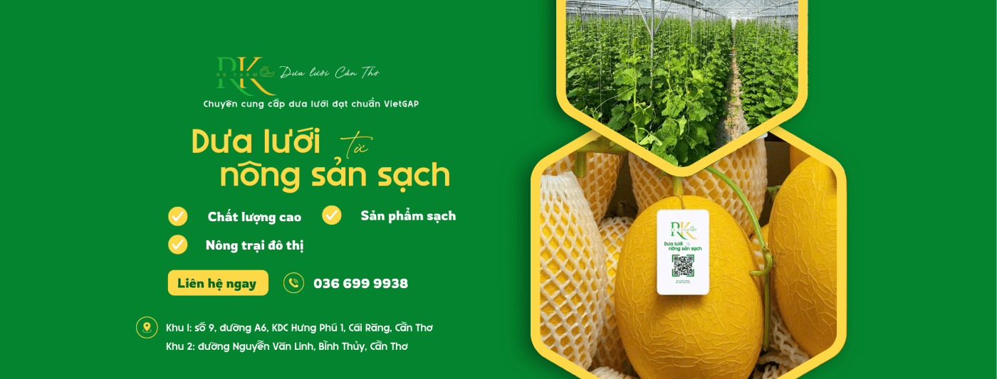 RK Farm "đổ bộ" TP.HCM: Dưa lưới VietGAP ngon - sạch - ngọt