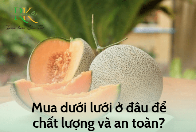 Mua dưa lưới ở đâu đảm bảo chất lượng và giá tốt?
