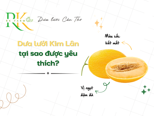 Dưa lưới Kim Lân