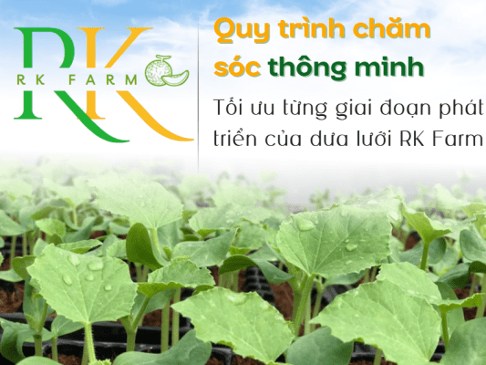Quy trình chăm sóc thông minh