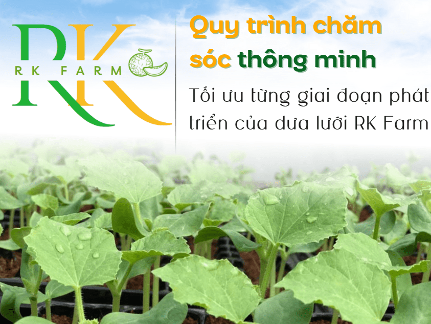 Quy trình chăm sóc thông minh