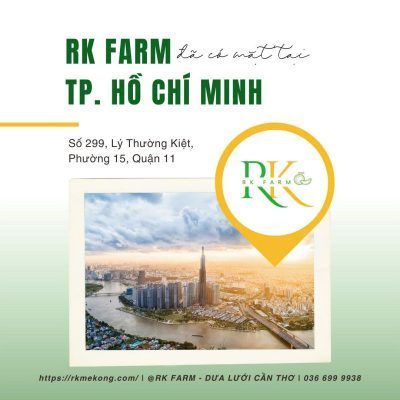 RK Farm "đổ bộ" TP.HCM: Dưa lưới VietGAP ngon - sạch - ngọt