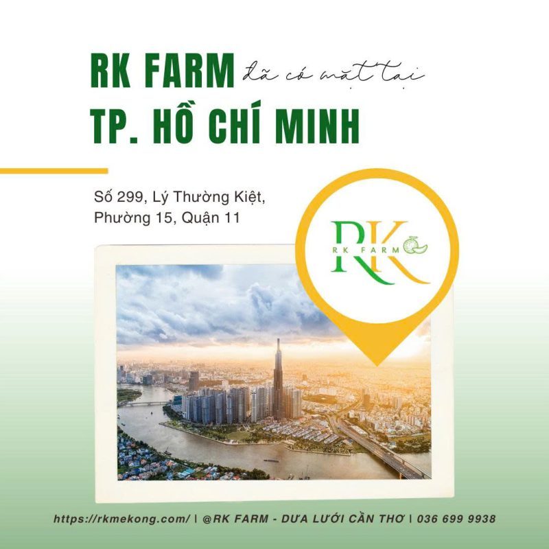 RK Farm "đổ bộ" TP.HCM: Dưa lưới VietGAP ngon - sạch - ngọt